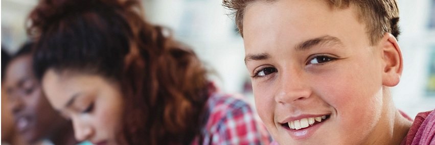 CS Vincent van Gogh banner