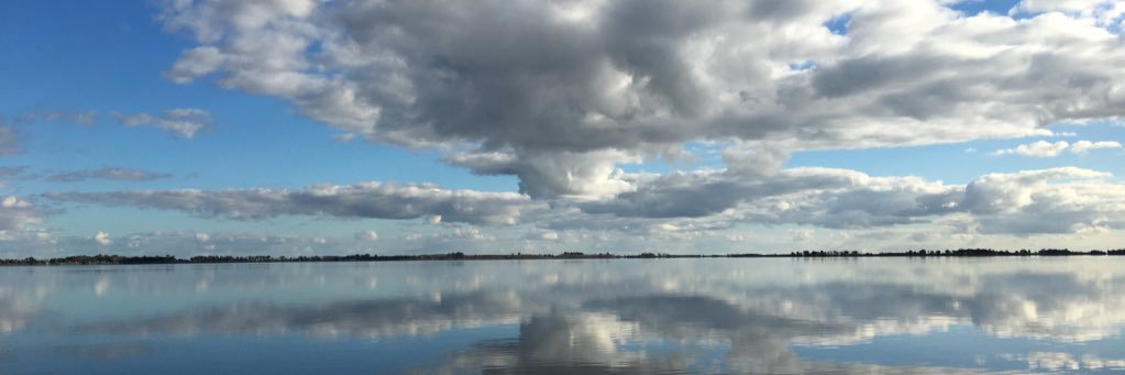 NenaMonstruo06's profile banner image