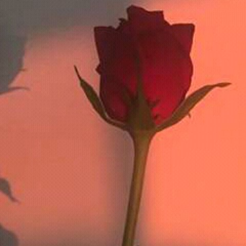 mariftbiebs's profile banner image