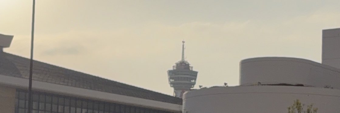 たま banner