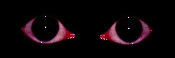 Horror Nation ♱ banner