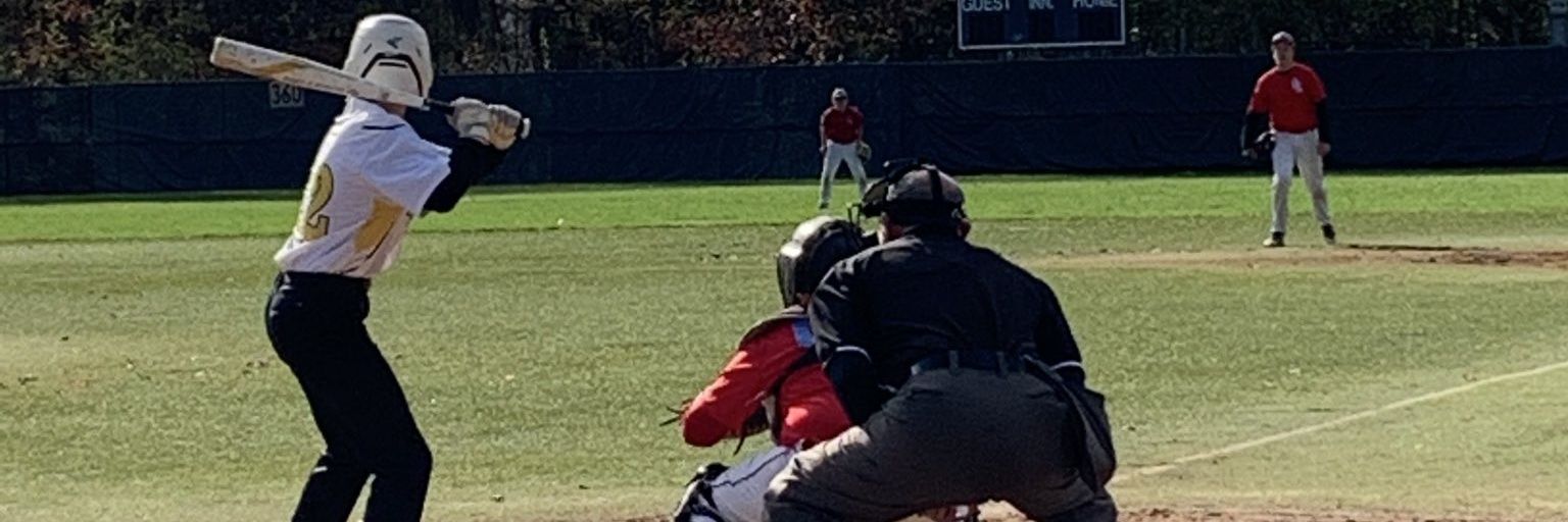 Vince Wladika banner