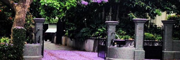 acassuto Profile Banner
