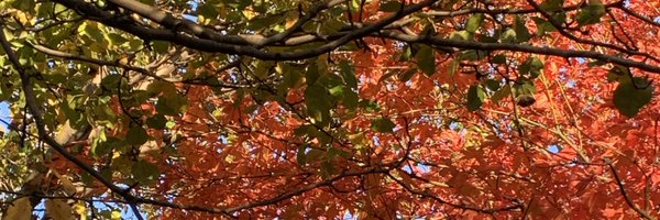 wtb6chiny Profile Banner