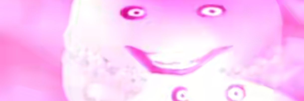 049 banner