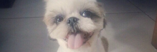 vanessarnaud's profile banner image