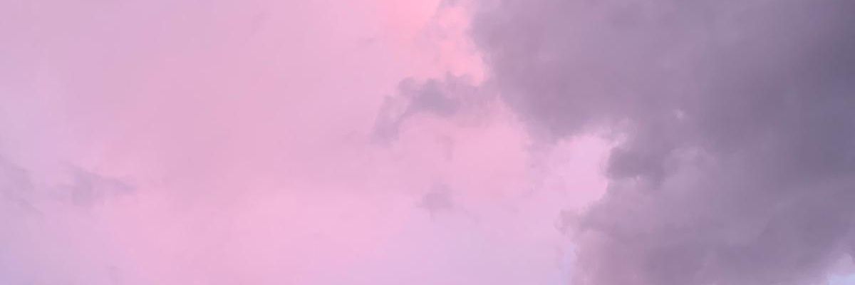 Suzan Koseoglu banner