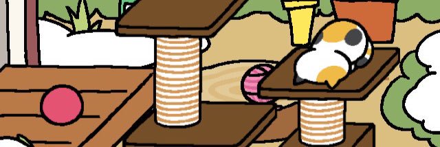 Molly Benson banner