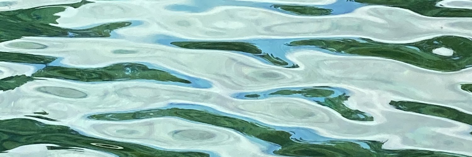 Raphaël Briner banner