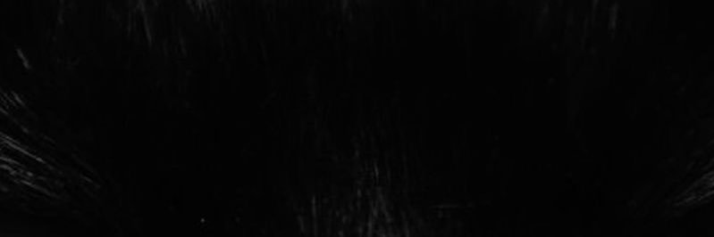 v banner