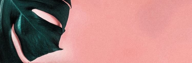 meaganwilcox's profile banner image