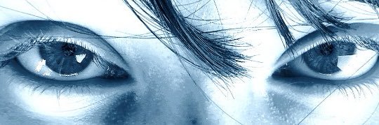 Rara banner