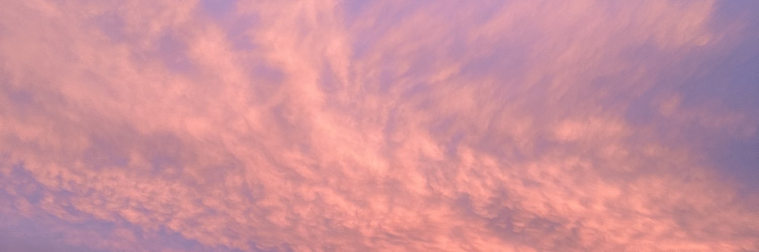 savannah banner
