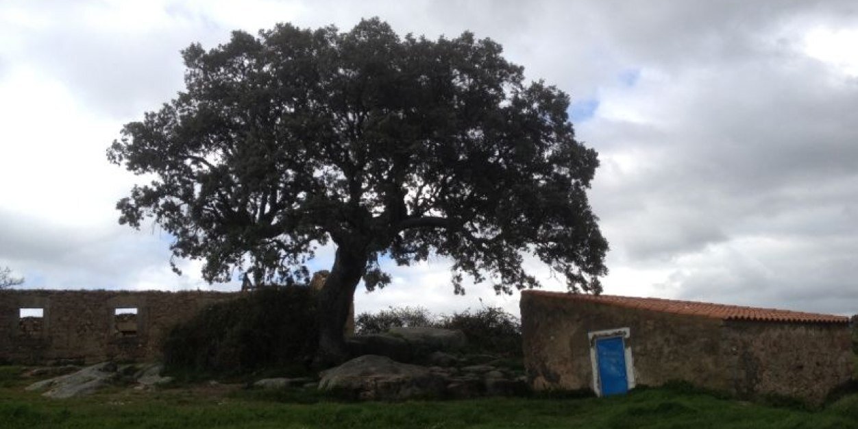 Germán Rubio banner