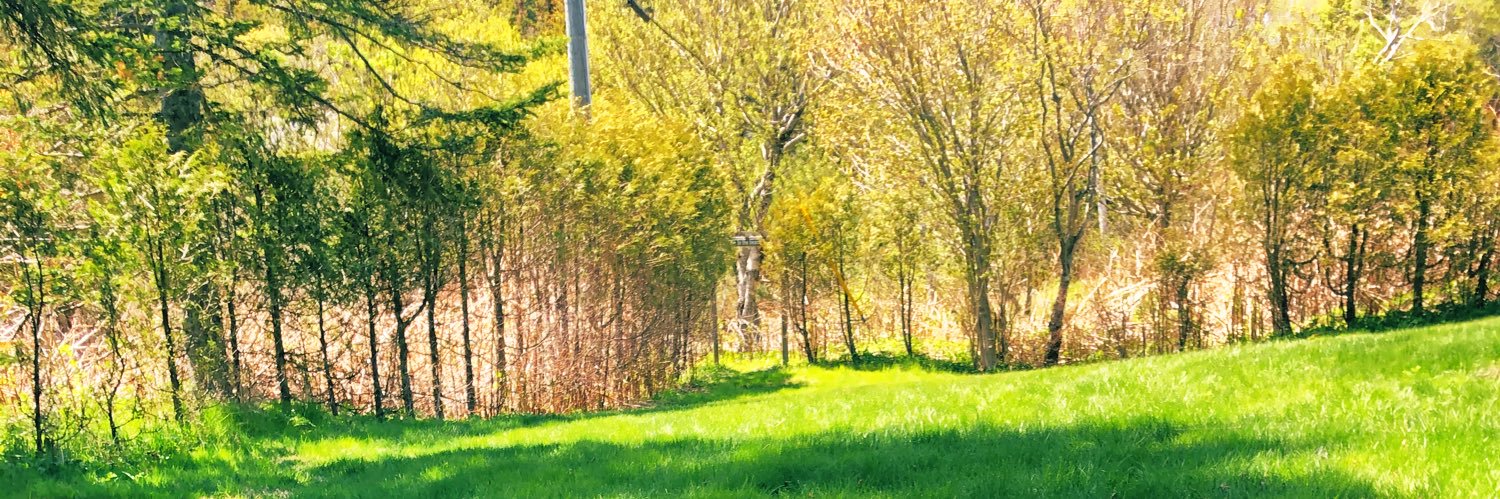 RobinCloustonMD's profile banner image