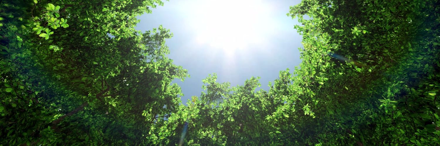 Peaceful Media banner