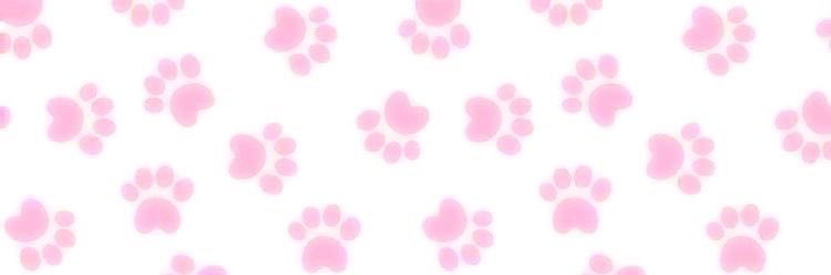 Kameronit's profile banner image