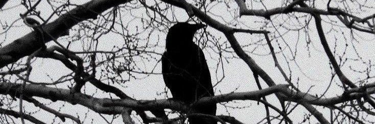 Ⳋᰍ ‘ Mia ִ ׂ 𓈒ᩘ banner