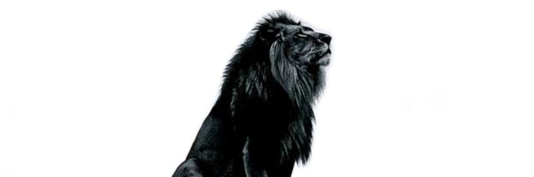 a7silvaa's profile banner image