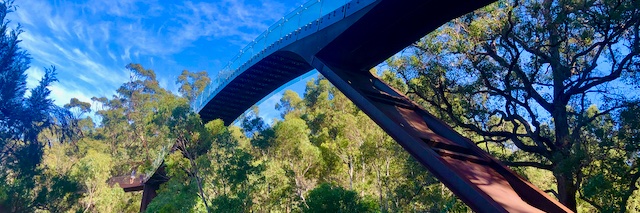 paulcabbott's profile banner image