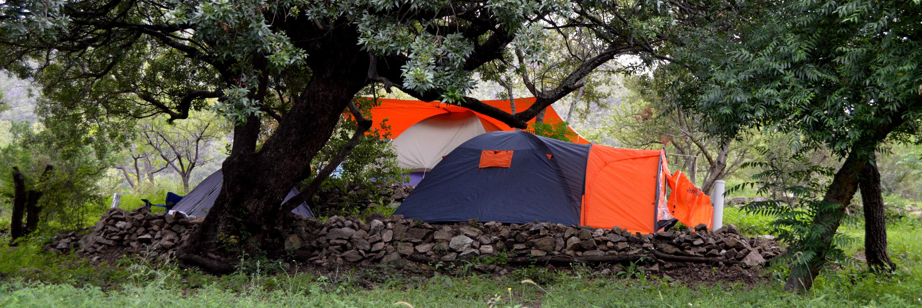 Lyon_Camping's profile banner image