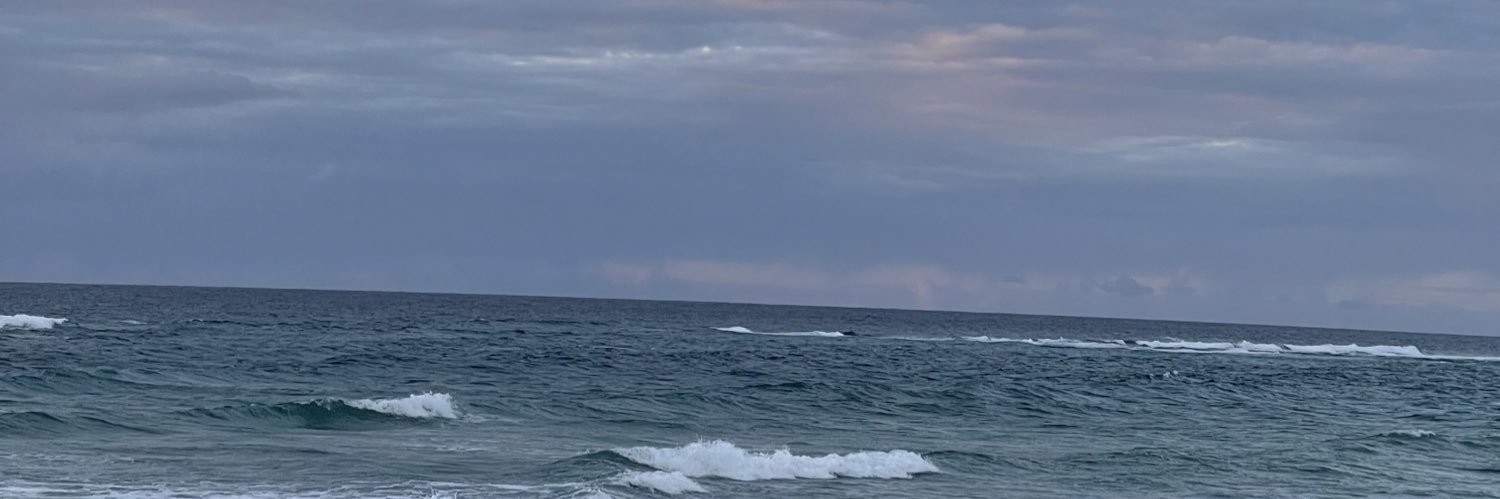 libv1208's profile banner image
