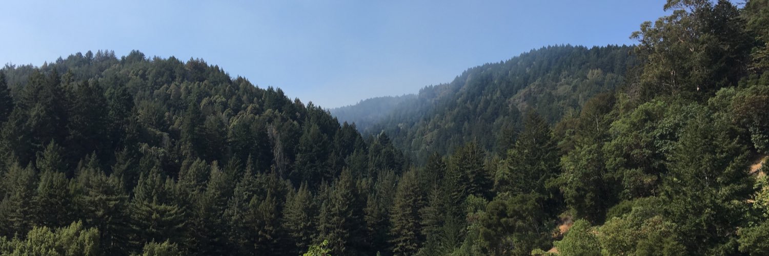 wangwei2's profile banner image