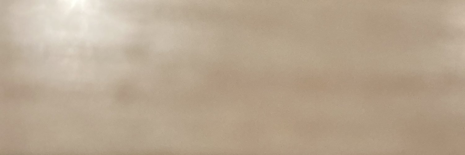 eguchi banner