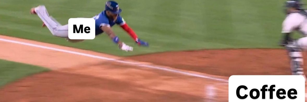 Nicholas Vlasin banner