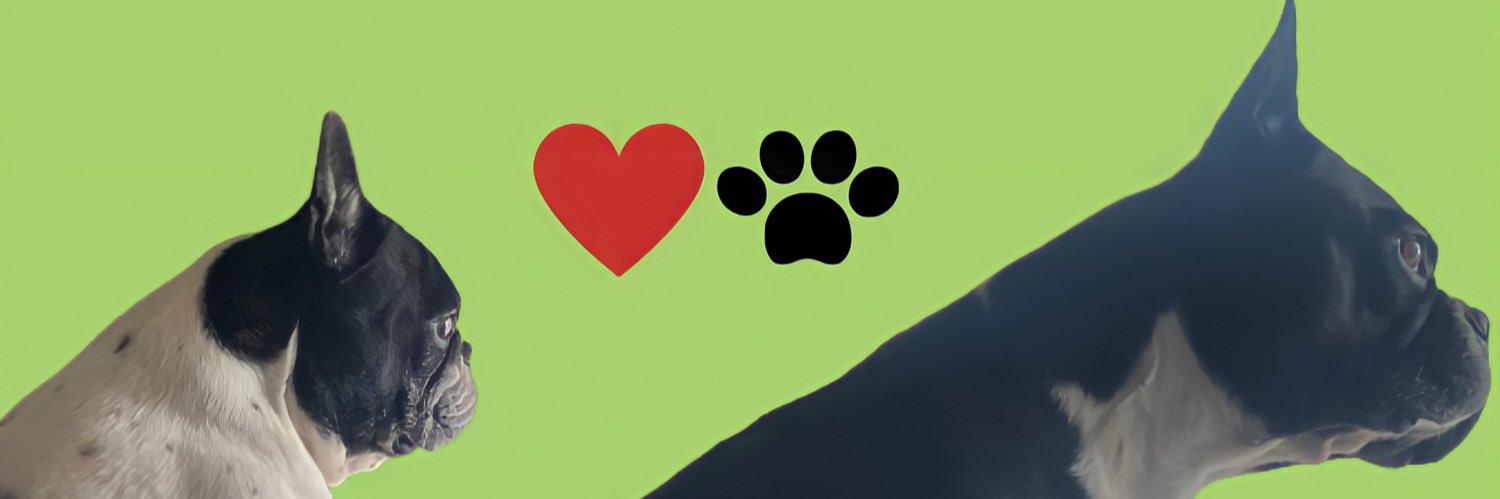 Willzeiraa's profile banner image