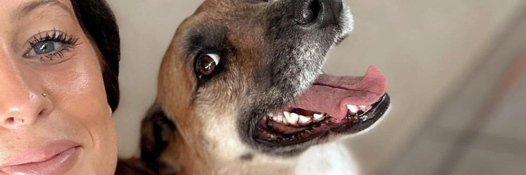 Cinnamon banner