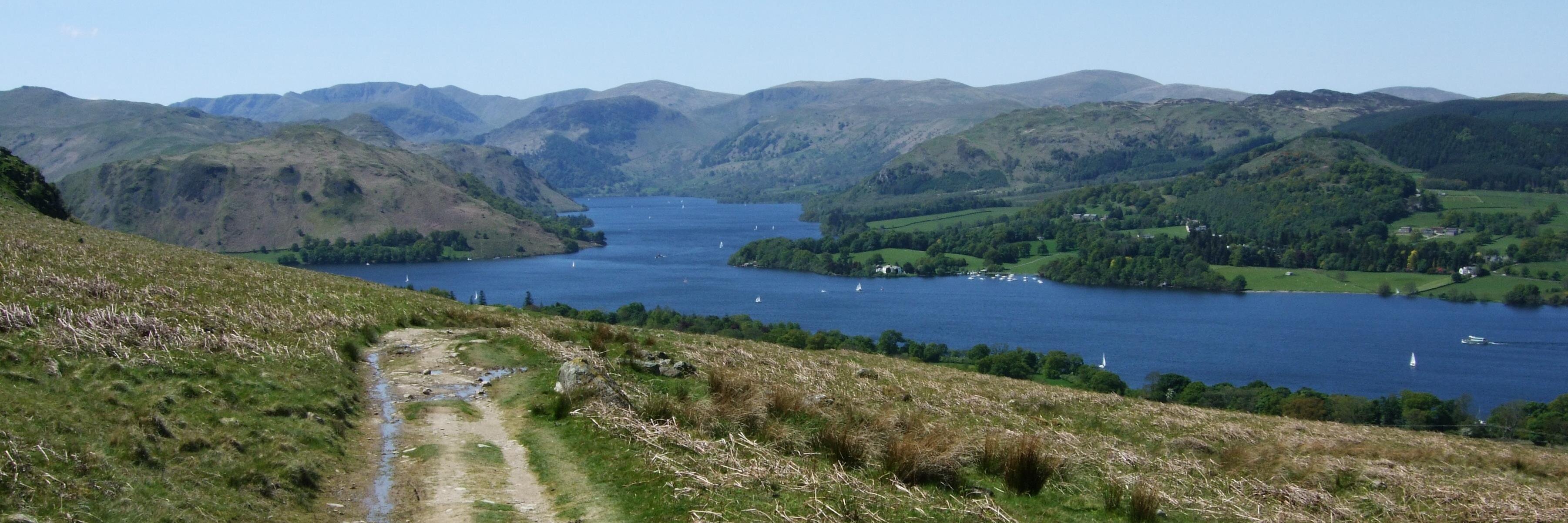 Kate Williamson banner