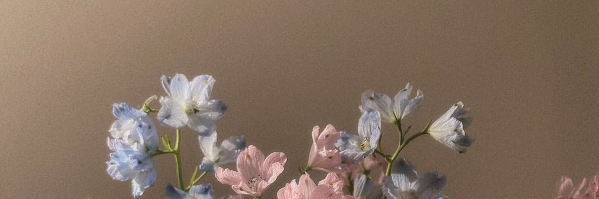Duda banner