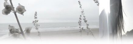iv banner