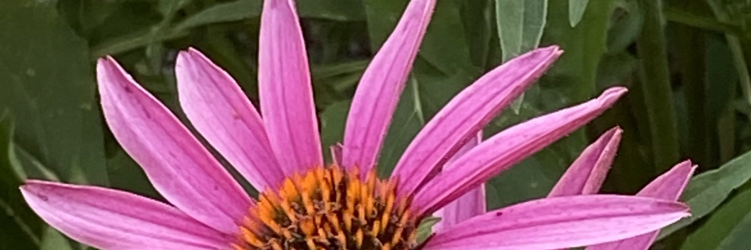 taurus_tony's profile banner image