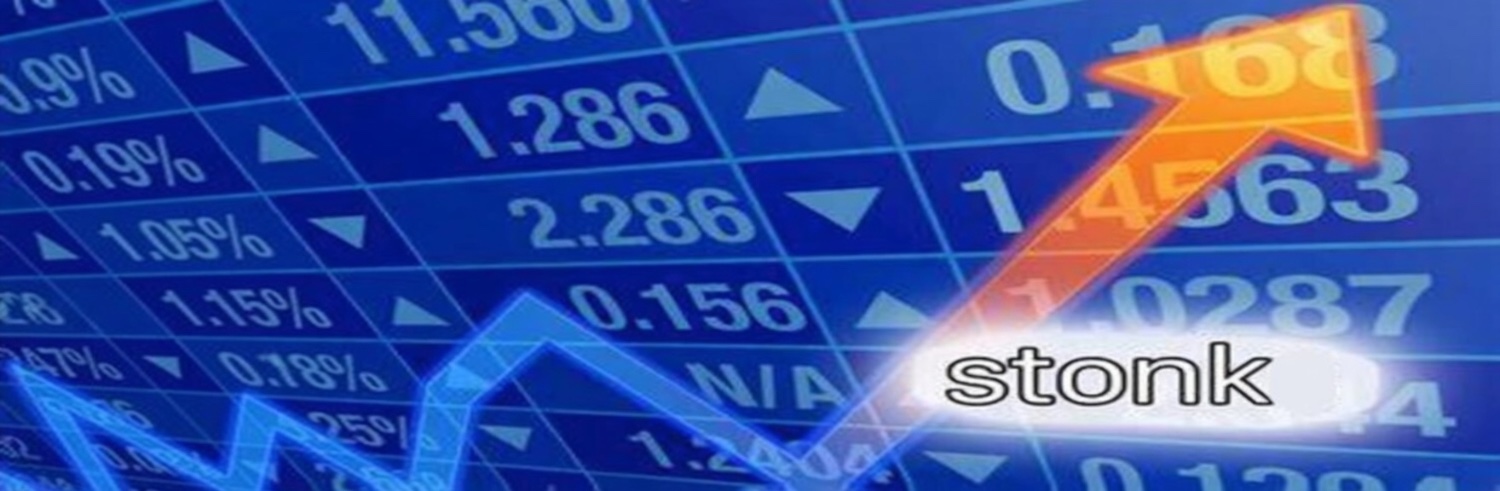 Stonk banner