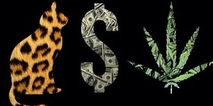 MikeySwagJordan's profile banner image