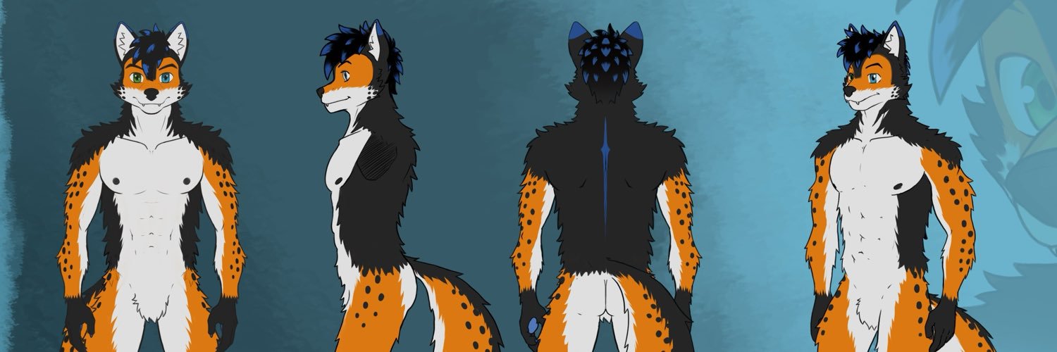 AxelValeHyb's profile banner image