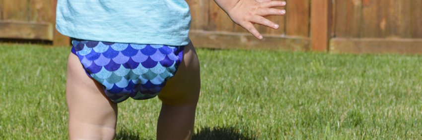 BestBottom Diapers banner