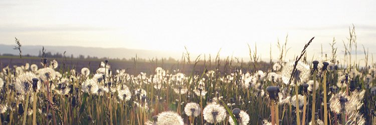 glee287's profile banner image