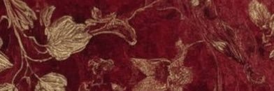 z banner