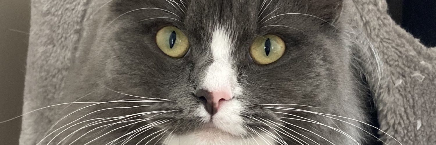 Scott Maskell banner