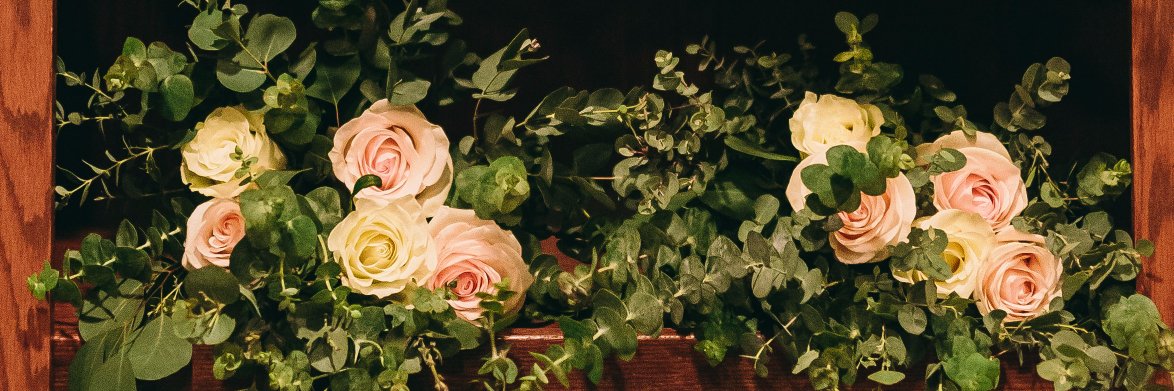 elliemleonard's profile banner image