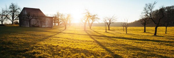 johnnybegoodbe Profile Banner