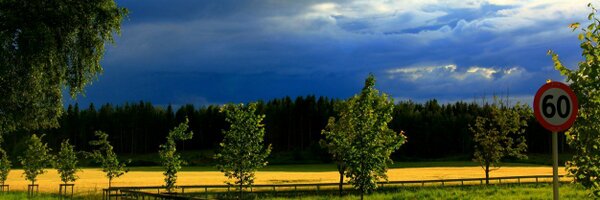 lucialatapi Profile Banner