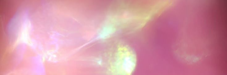 𝕡✶𝘀𝚂𝙴𝘀𝘀𝑖𝘃𝓔 , ℋ𝗎𝑛t𝙴r 𝑠ch𝖺f𝙴r. banner