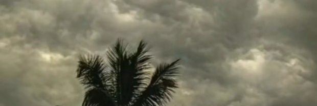 Davi banner