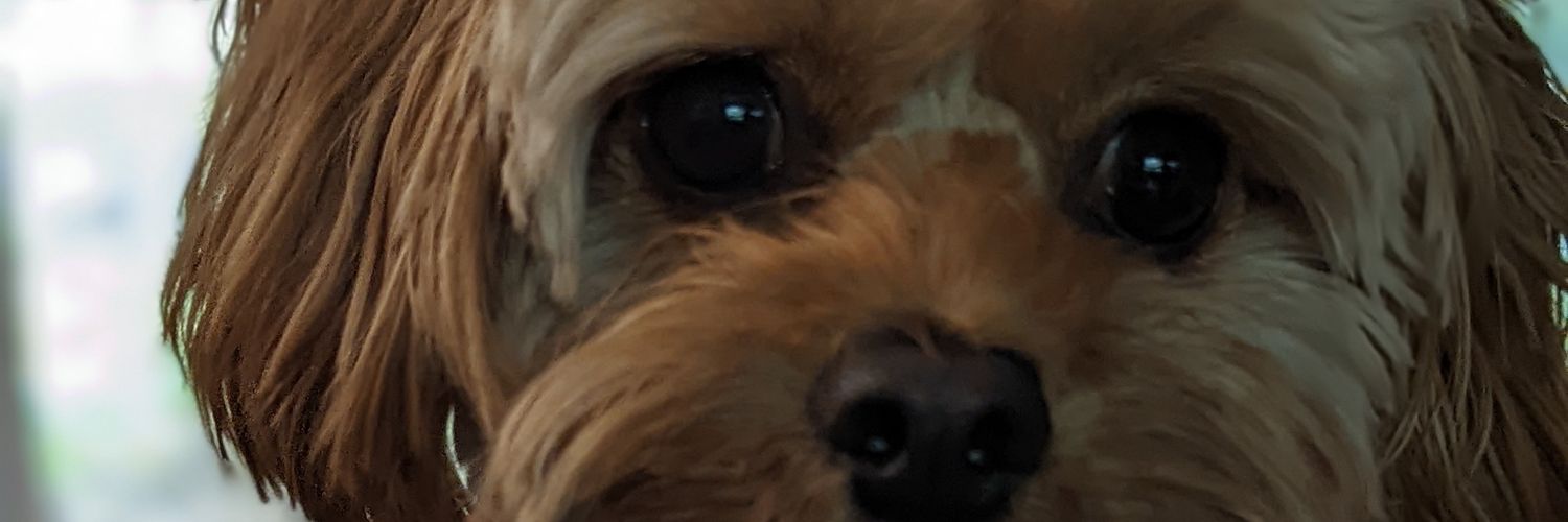 Cowboy1600's profile banner image