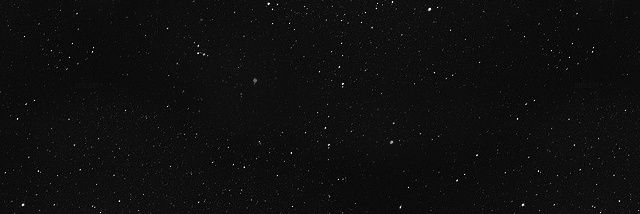 lyvia banner