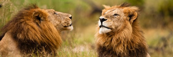 EarthTouch Profile Banner